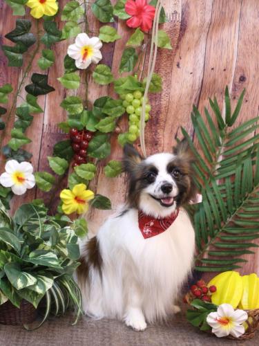 20230820マリーちゃん